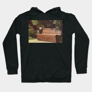 Bench in park Hoodie